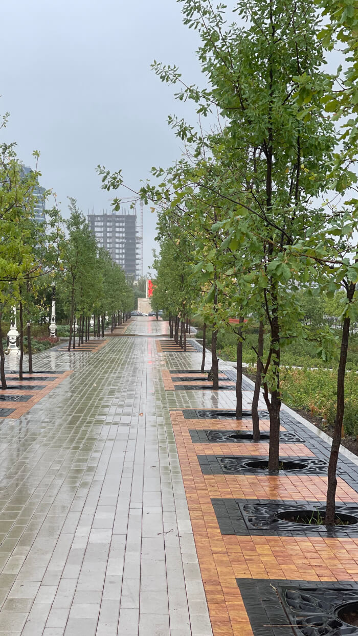 Приствольная решетка для дерева ZKING CRUST 1.2х1.2м Черная в Жуковском фото