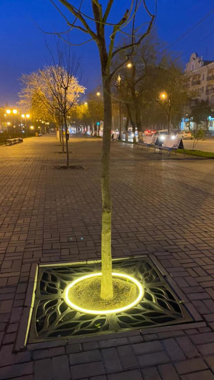 Приствольная решетка для дерева ZKING CRUST 1.2х1.2м Черная в Жуковском фото